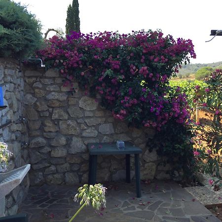 Studio-Appartment In Landhaus Mit Meerblick Porto Azzurro Buitenkant foto
